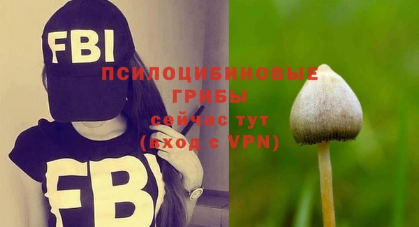 эйфоретик Алзамай