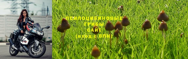 эйфоретик Алзамай