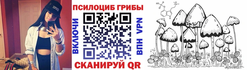 Галлюциногенные грибы GOLDEN TEACHER  купить  цена  Шимановск 